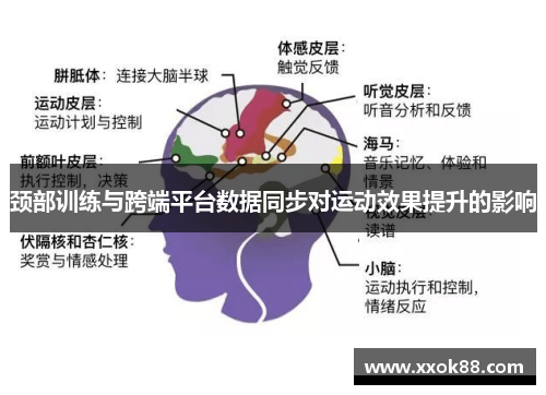 颈部训练与跨端平台数据同步对运动效果提升的影响